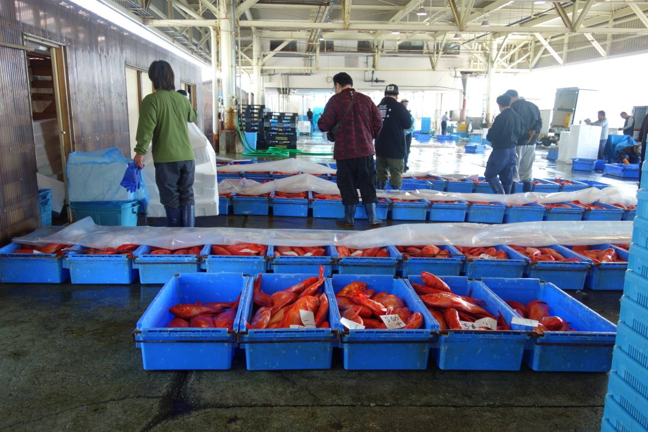 魚市場に並ぶ金目鯛。