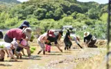 オーナーの田んぼで、滞在者も一緒に田植え。